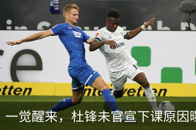 一觉醒来，杜锋未官宣下课原因曝光！徐杰确定留队，陈家政好消息