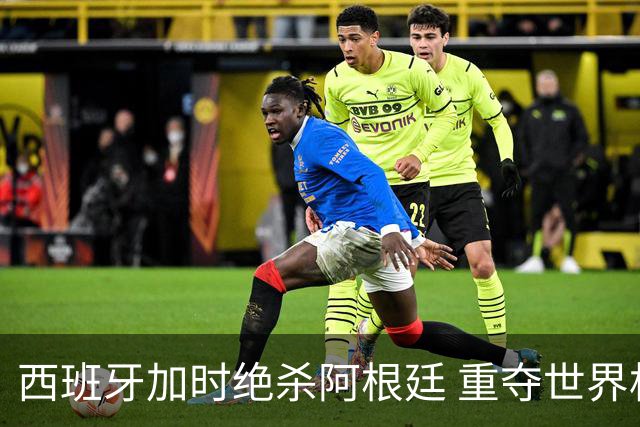 西班牙加时绝杀阿根廷 重夺世界杯冠军