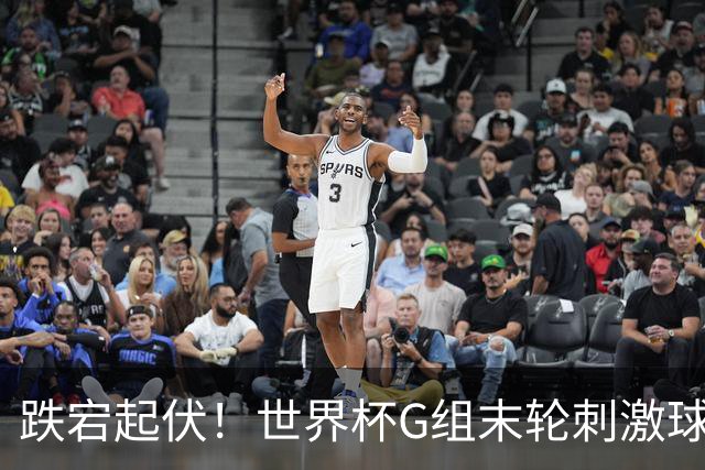 跌宕起伏！世界杯G组末轮刺激球迷心脏 伊朗狂喜过后遭打击