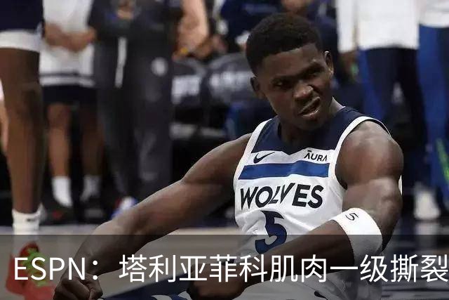 ESPN：塔利亚菲科肌肉一级撕裂，至少缺席世界杯前两场小组赛